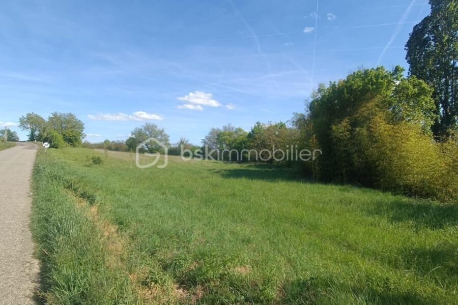 Terrain à vendre à La romieu