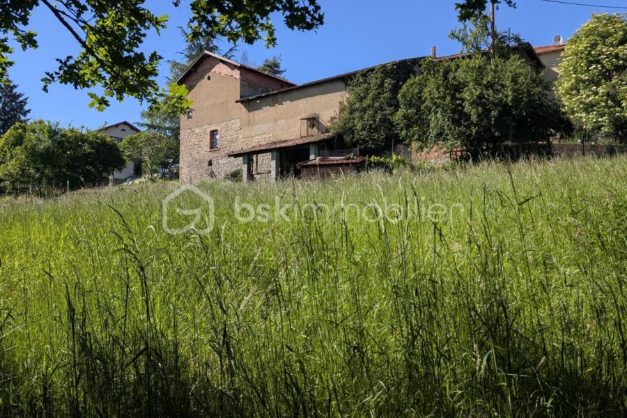 Maison à vendre à Souzy — Vue nature — photo 2