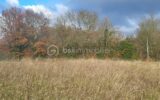 TERRAIN CONSTRUCTIBLE A CALIGNAC- 2997 m² – NR pièces – NR chambres – 2997 m²