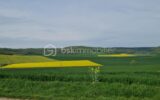 A VENDRE TERRAIN D’EXEPTION AVEC VUE PANORAMIQUE DE 11 574 M² DONT 1726 M² CONSTRUCTIBLE – NR pièces – NR chambres – 11574 m²