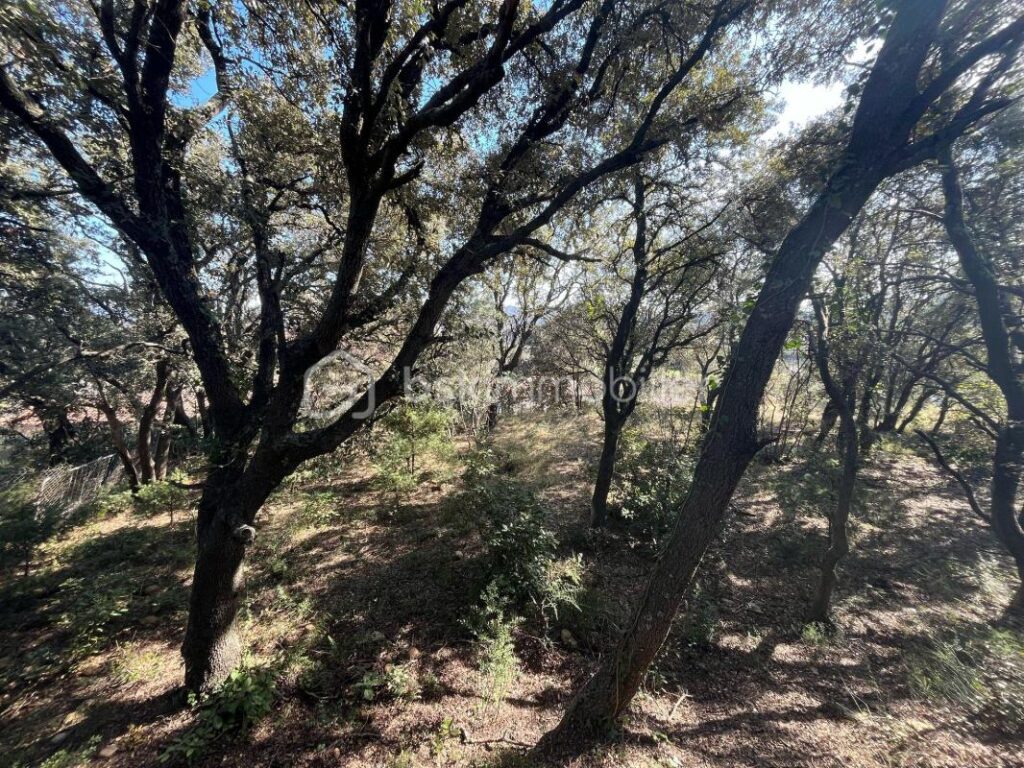 Terrain constructible Vue dominante – NR pièces – NR chambres – 1572 m²