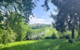 Terrain avec vue sur la campagne – Cadre verdoyant et préservé – NR pièces – NR chambres – 1587 m²