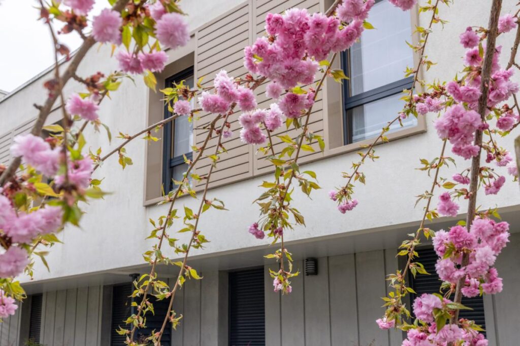 Appartement T3 terrasse – 3 pièces – 2 chambres – 63 m²