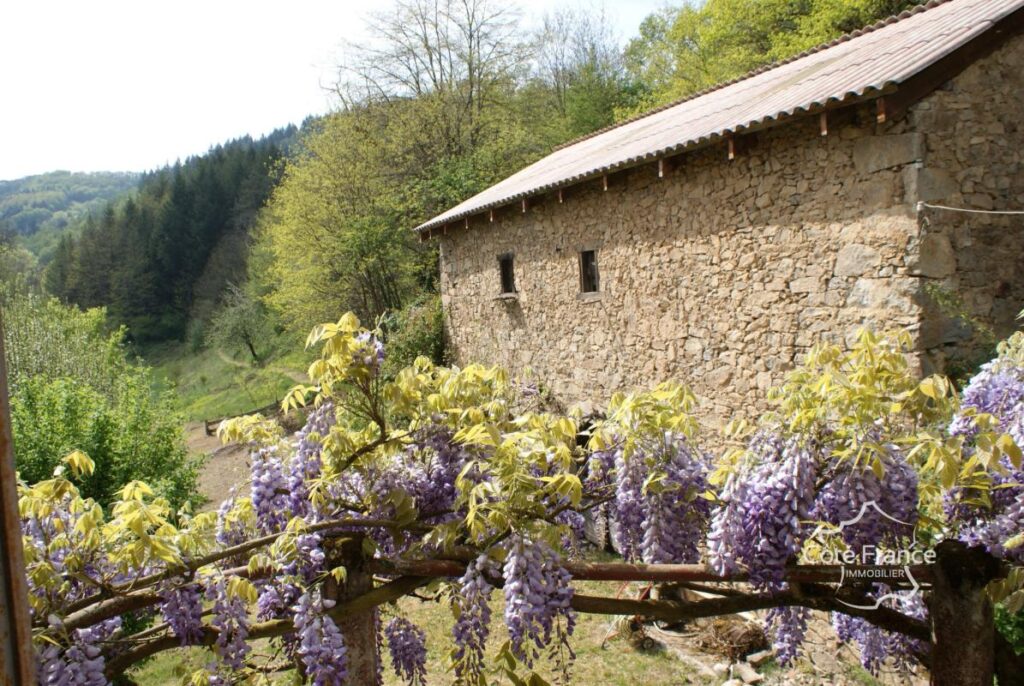Ancien moulin renové avec grange et terrain à Boisset 15600 – 5 pièces – 4 chambres