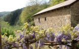 Ancien moulin renové avec grange et terrain à Boisset 15600 – 5 pièces – 4 chambres