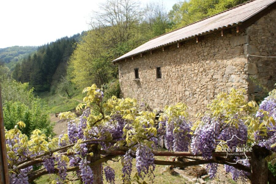 Maison à vendre à Boisset