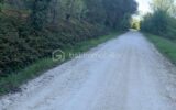 Proche d&rsquo; Auch – Propriété de 27ha avec Château – 14 pièces – 6 chambres – 500 m²