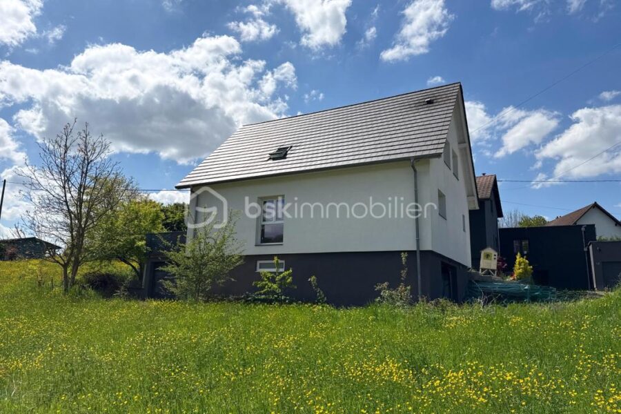 Maison à vendre à Aspach — Vue nature — photo 10