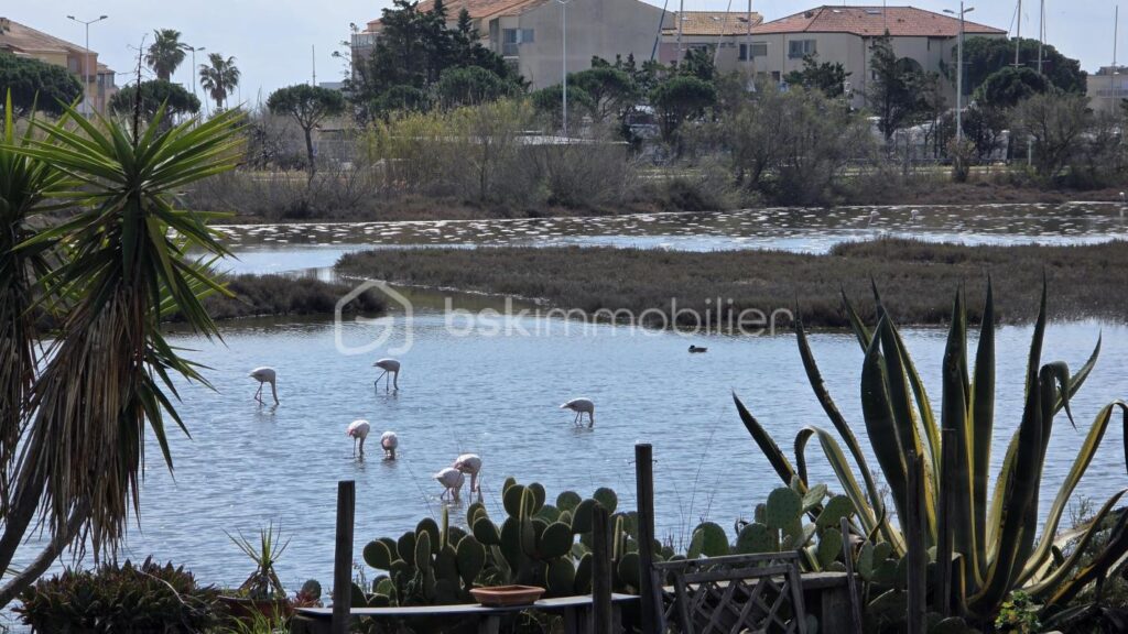 RARE A PALAVAS maison à vendre avec vue sur les étangs – 3 pièces – 2 chambres – 67 m²