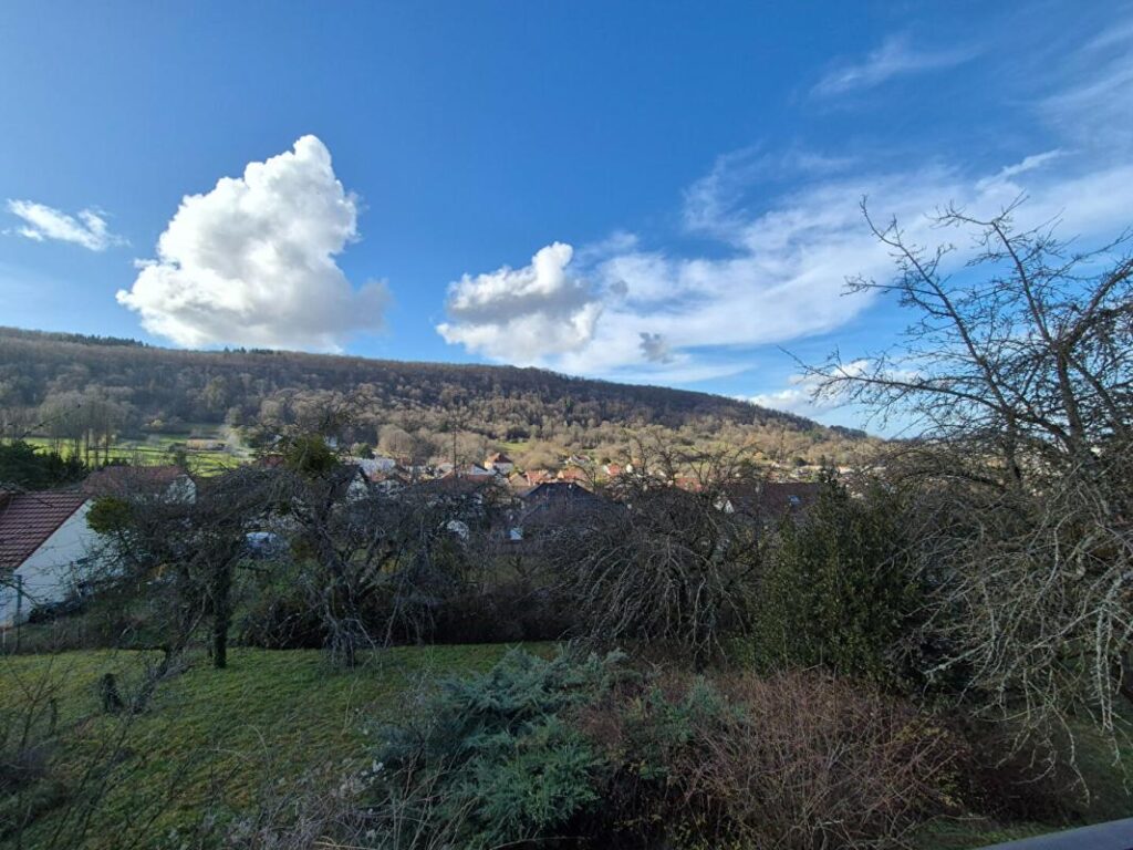 Maison d&rsquo;architecte Echenoz La Meline 5 pièce(s) 138 m2 – 5 pièces – 3 chambres – 138 m²