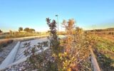 Terrain à vendre à Gignac — Vue nature — photo 11