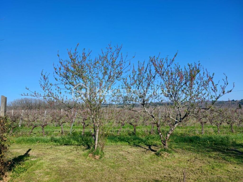 Plain-pied de 98m2- 3 chambres- terrain 1675m2 – 5 pièces – 4 chambres – 98 m²