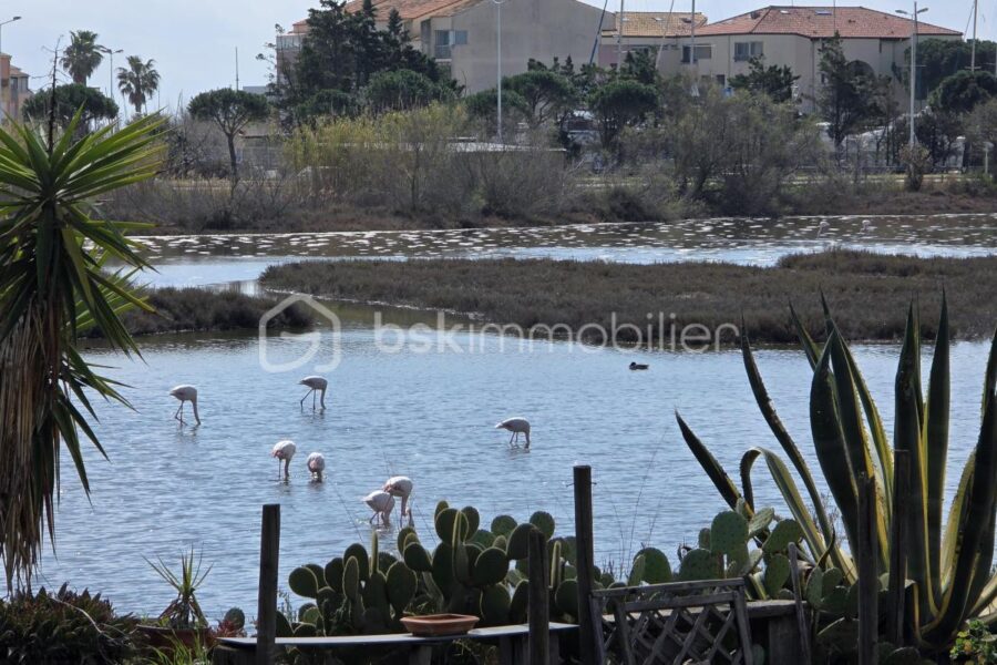 Maison à vendre à Palavas les flots