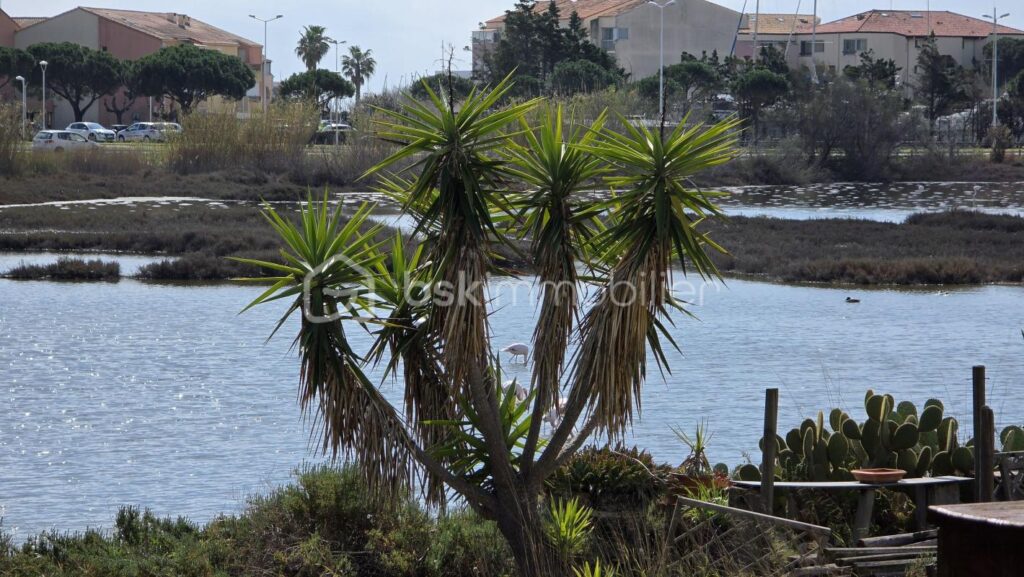 RARE A PALAVAS maison à vendre avec vue sur les étangs – 3 pièces – 2 chambres – 67 m²
