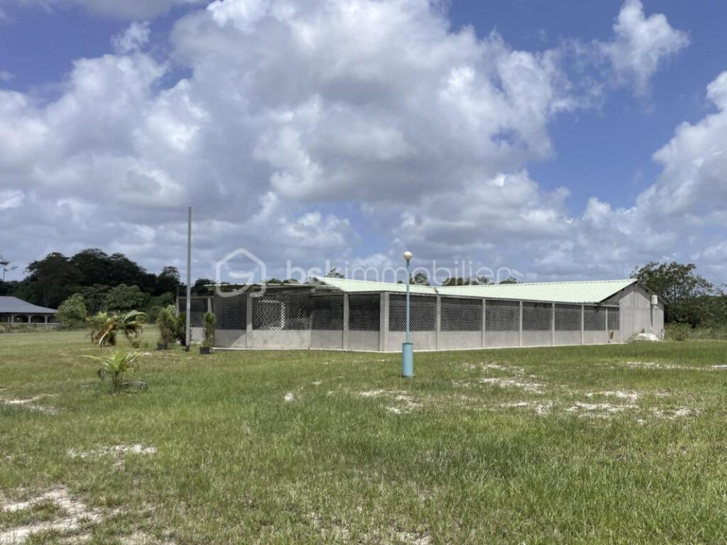 97310 – KOUROU – PROPRIÉTÉ D’EXCEPTION SUR 2,6 HECTARES – MAISON 5 PIÈCES – PISCINE – SUITE PARENTALE – 3 CHAMBRES DE 21 m² AVEC SALLE D’EAU & WC – TERRAIN VIABILISÉ – ZONE AGRICOLE – IDÉAL PROJET AUTONOME, VIVRIER OU ÉCOLOGIQUE – 5 pièces – 4 chambres – 250 m²