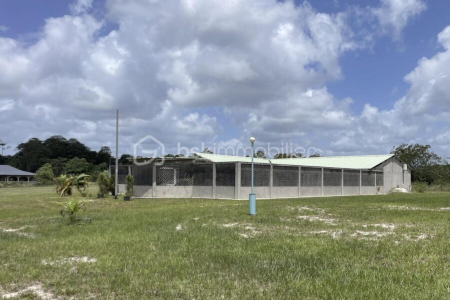Maison à vendre à Kourou