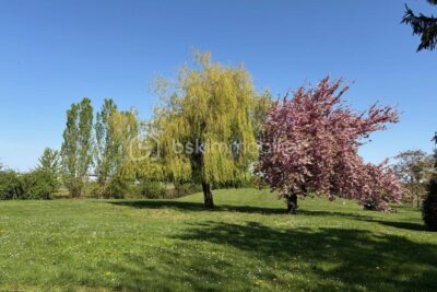 Appartement à vendre à Nozay