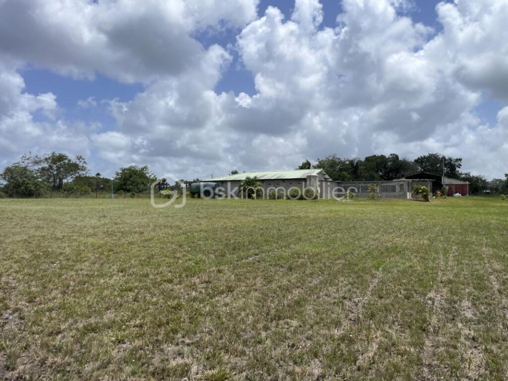97310 – KOUROU – PROPRIÉTÉ D’EXCEPTION SUR 2,6 HECTARES – MAISON 5 PIÈCES – PISCINE – SUITE PARENTALE – 3 CHAMBRES DE 21 m² AVEC SALLE D’EAU & WC – TERRAIN VIABILISÉ – ZONE AGRICOLE – IDÉAL PROJET AUTONOME, VIVRIER OU ÉCOLOGIQUE – 5 pièces – 4 chambres – 250 m²