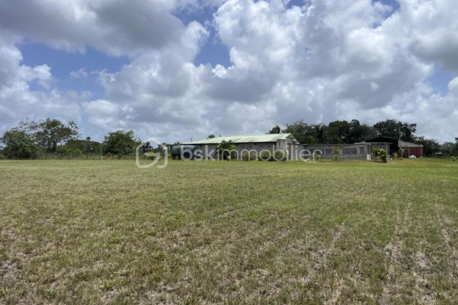 Maison à vendre à Kourou