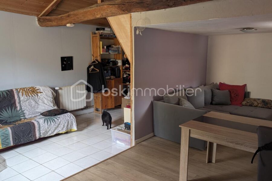 Maison à vendre à Souzy — Vue nature — photo 14