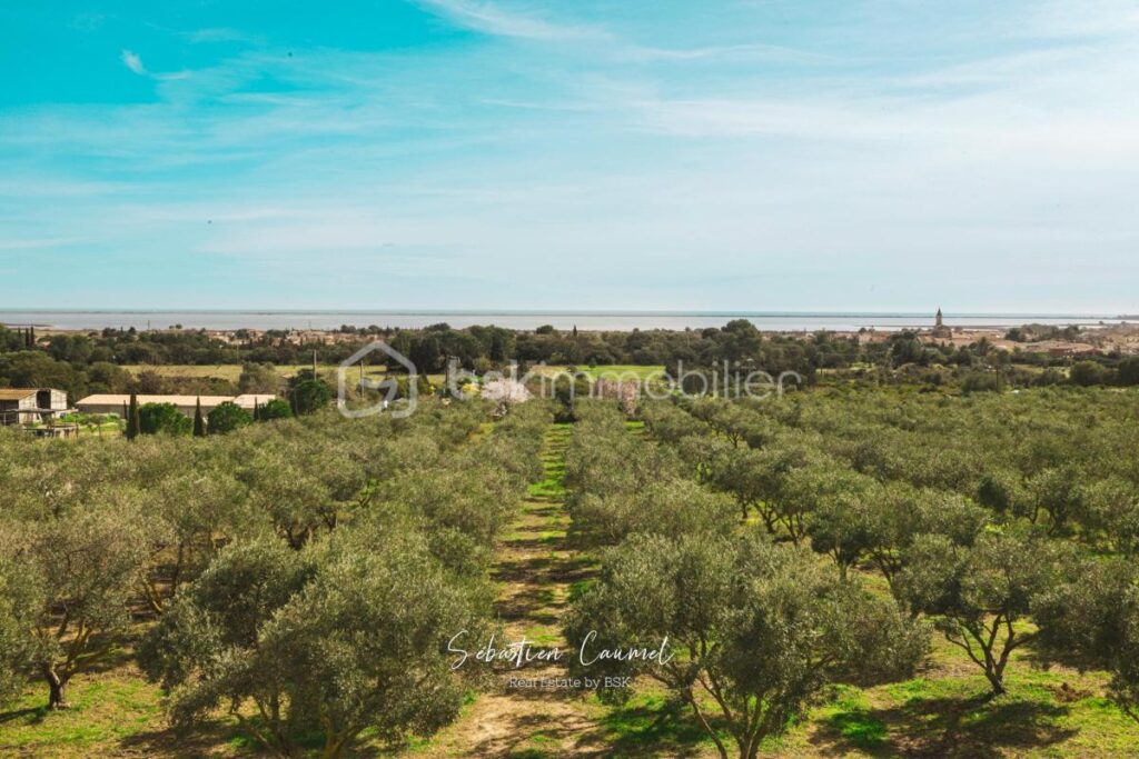 Mireval – Duplex meublé T4 99 m² – Terrasse – Vue étangs et mer – 4 pièces – 3 chambres – 99 m²