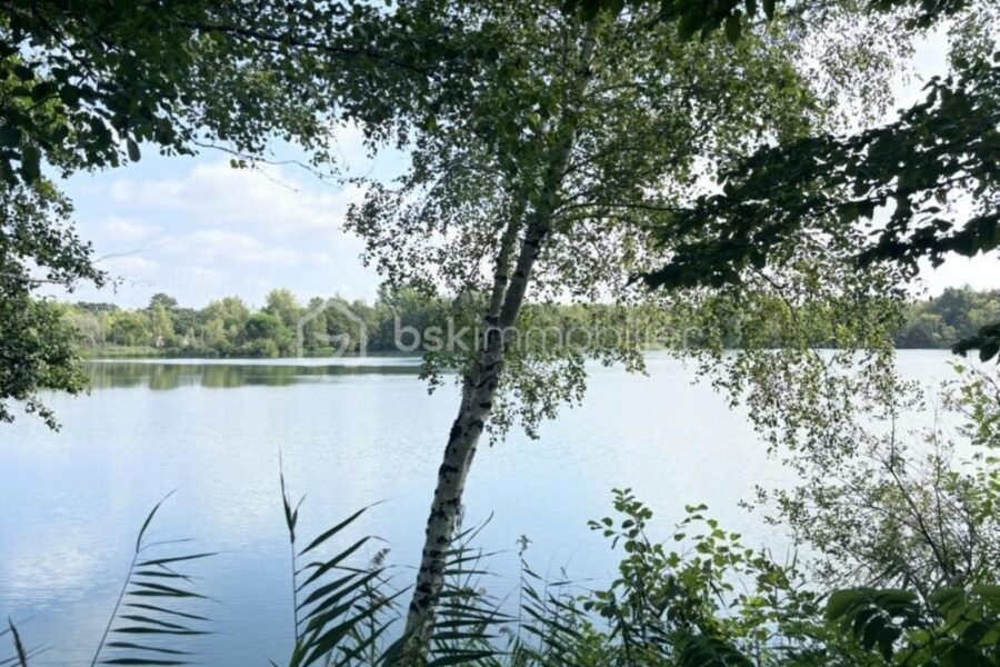 Terrain à vendre à Sainte gemme
