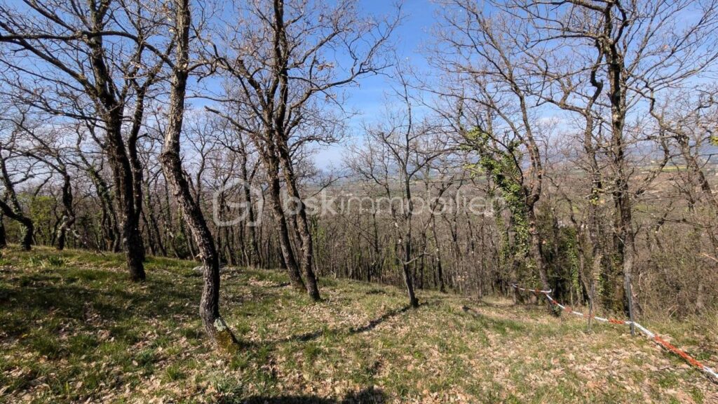 Vue panoramique 180° – Position dominante – À 15 min de Montélimar – 6 pièces – 4 chambres – 194 m²