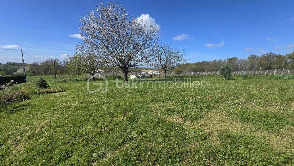 Maison en pierre avec 100m2 de dépendances – 7 pièces – 3 chambres – 172 m²