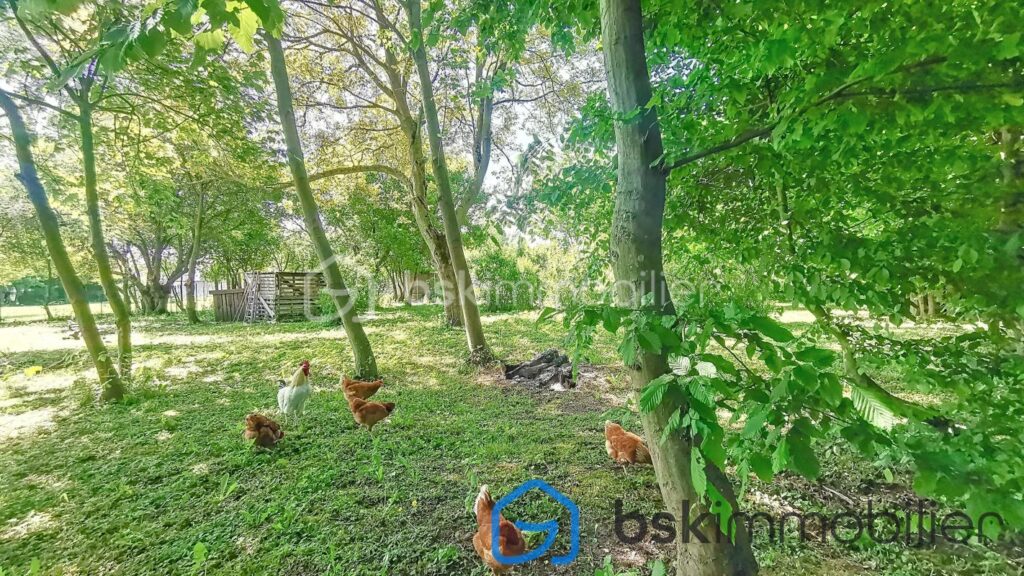 Maison INDIVIDUELLE LOCAL profession libérale – 8 pièces – 4 chambres – 210 m²