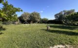 Villa double habitation sur 1810 m² avec vue – 7 pièces – 5 chambres – 168 m²