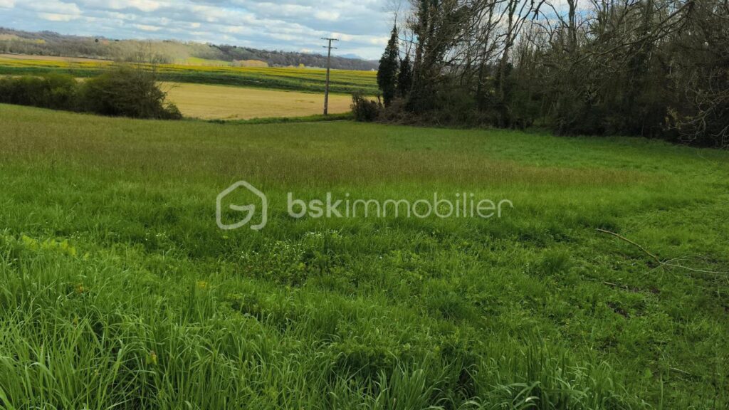 Beau terrain à bâtir avec vue sur les Pyrénées – NR pièces – NR chambres – 3700 m²