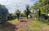 Terrain à vendre à La grande paroisse
