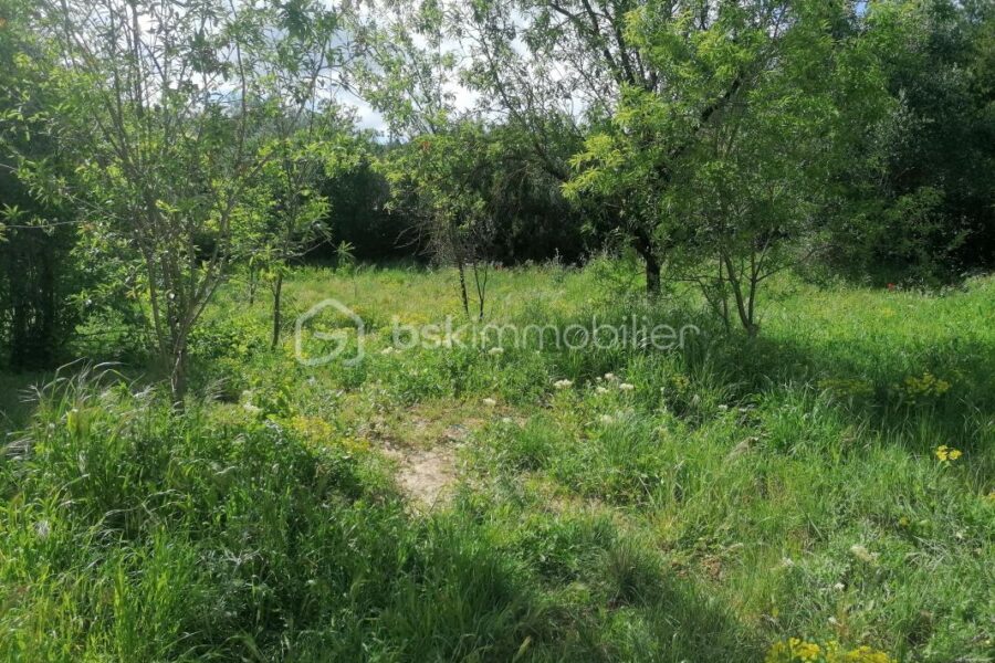 Terrain à vendre à Villeneuve les avignon — Vue nature — photo 3