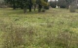Terrain à vendre à La grande paroisse