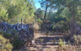 Terrain à vendre à Roquebrune sur argens