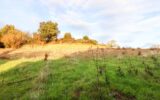 Terrain à vendre à Le bosc