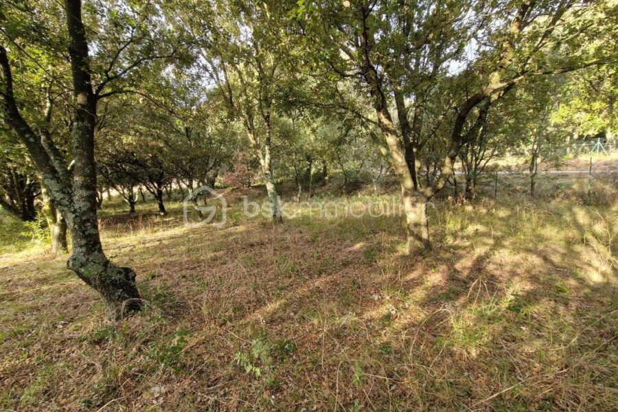 Terrain à vendre à La capelle et masmolene — Vue nature — photo 3
