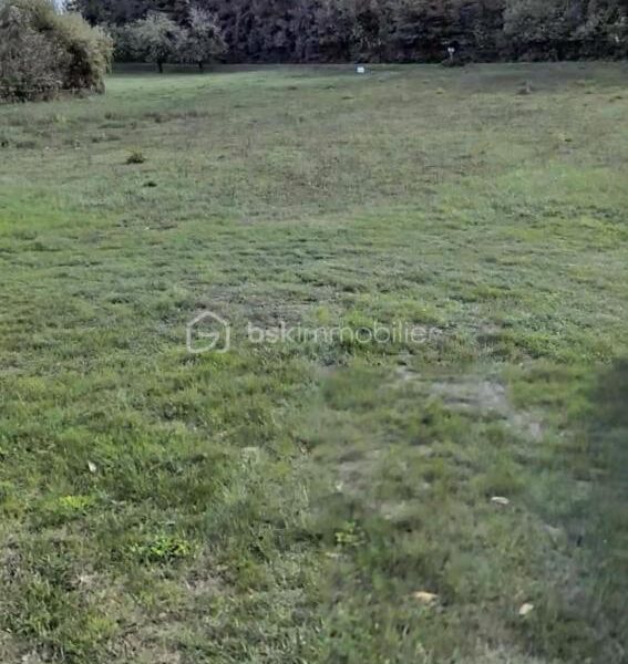Terrain à vendre à Bransles
