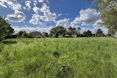 Terrain à vendre à Ribaute les tavernes