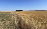Terrain à vendre à Boissy en drouais