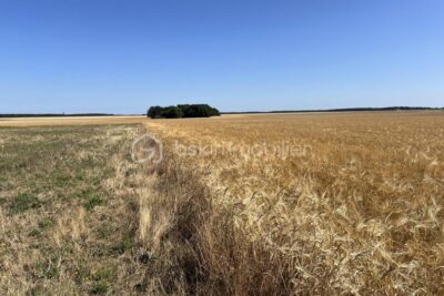 Terrain à vendre à Boissy en drouais