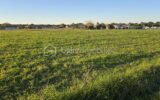 Terrain à vendre à Merignac