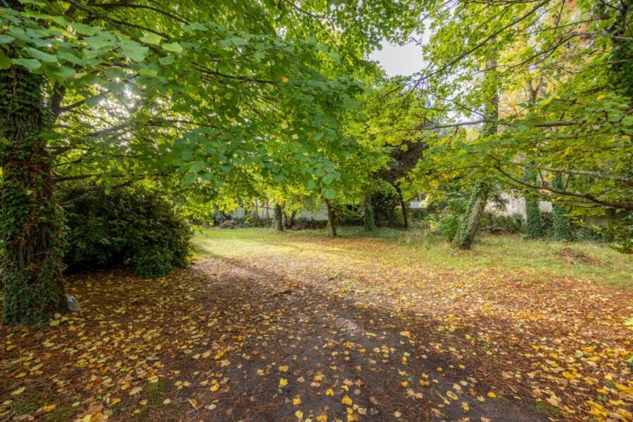 Terrain à vendre à La gueriniere