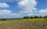 Terrain à vendre à Haraucourt