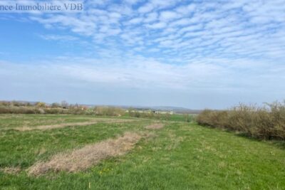 Terrain à vendre à Haraucourt