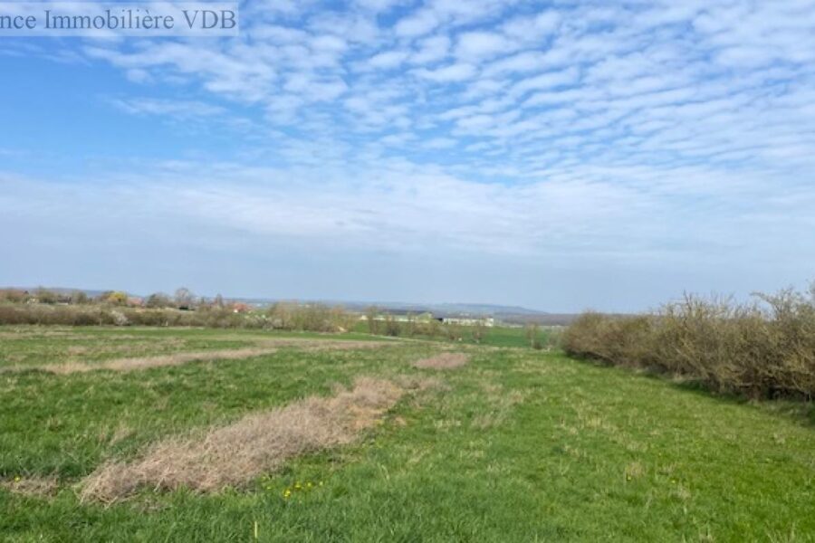 Terrain à vendre à Haraucourt