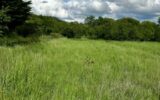 Terrain à vendre à Moncel sur seille