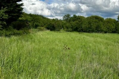 Terrain à vendre à Moncel sur seille