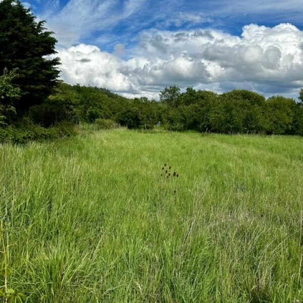 Terrain à vendre à Moncel sur seille