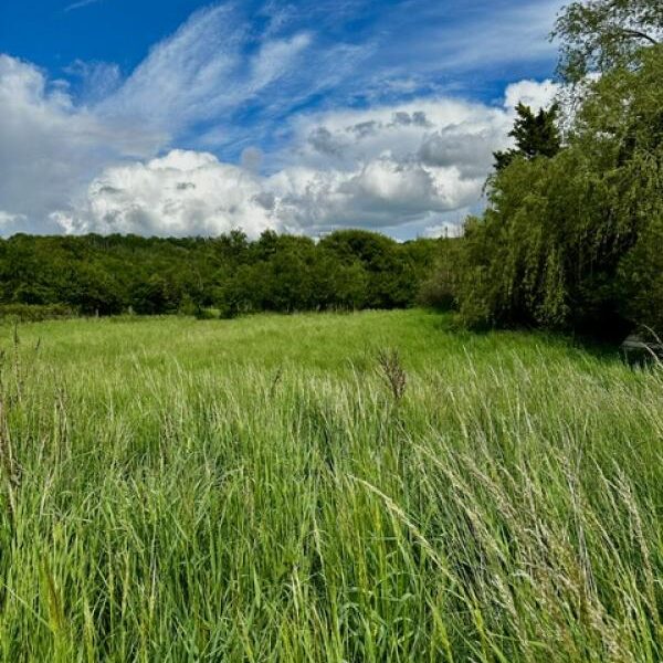 Terrain à vendre à Moncel sur seille